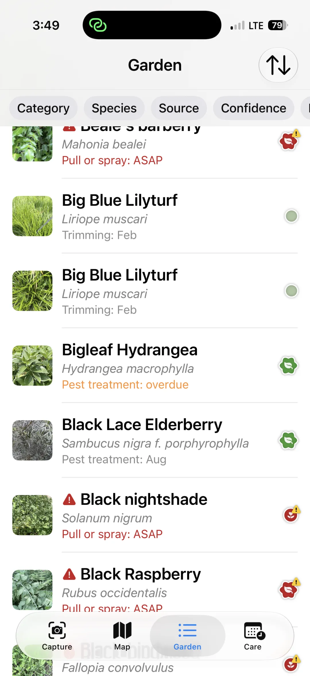 Garden tab listing plants with their next care step
